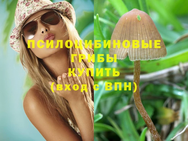 дмт Балабаново