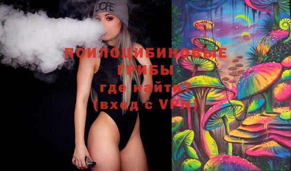 ГАЛЛЮЦИНОГЕННЫЕ ГРИБЫ Лабытнанги